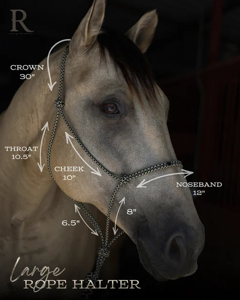 Hay Chix Redemption Rope Halter