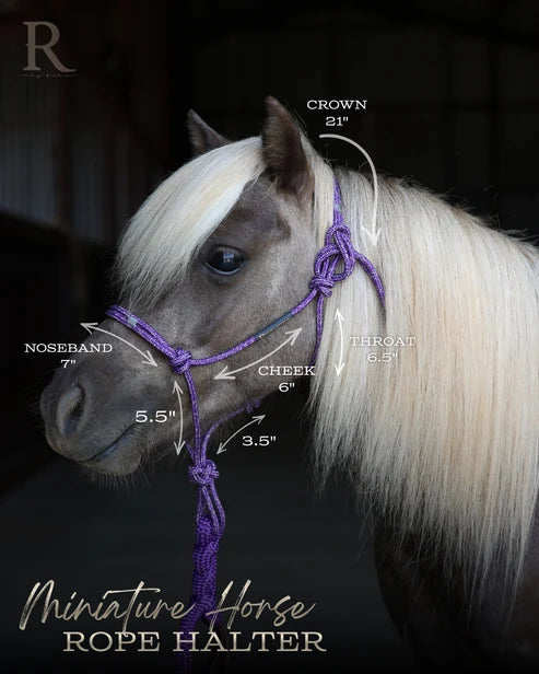 Hay Chix Redemption Rope Halter