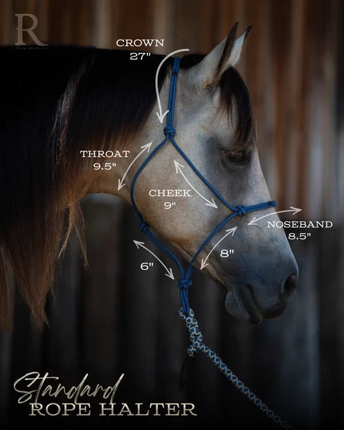 Hay Chix Redemption Rope Halter