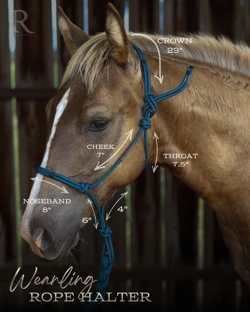 Hay Chix Redemption Rope Halter