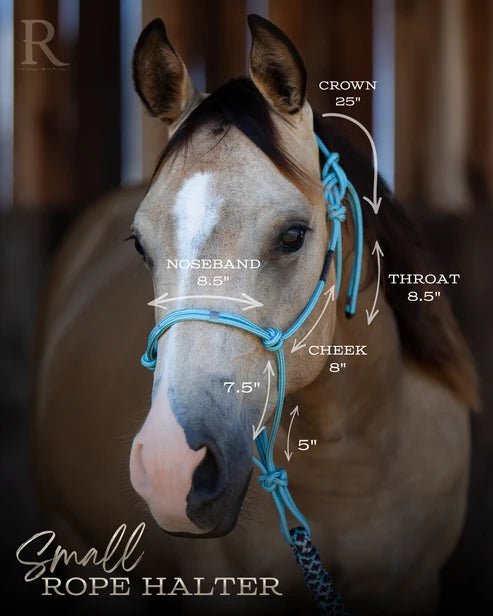 Hay Chix Redemption Rope Halter