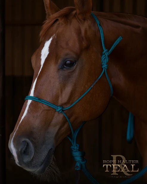 Hay Chix Redemption Rope Halter